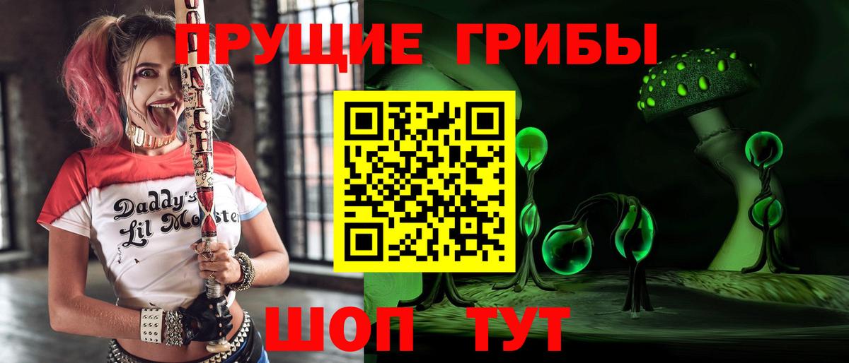 Псилоцибиновые грибы мицелий Новоалександровск