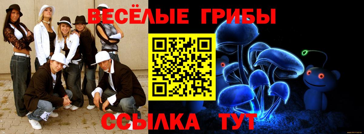 цена   Вход с VPN  Новоалександровск  Галлюциногенные грибы ЛСД 